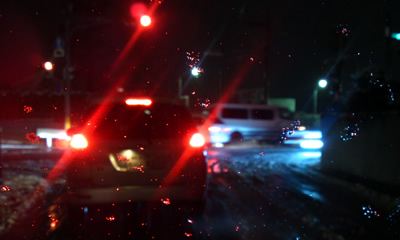 20100214_pleo_01.jpg
